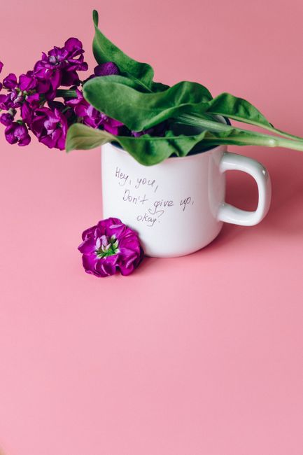 A white ceramic mug with a handwritten message that reads 'Hey, you, don't give up, okay?' is filled with a vibrant arrangement of fresh purple stock flowers and lush green leaves. The mug is position