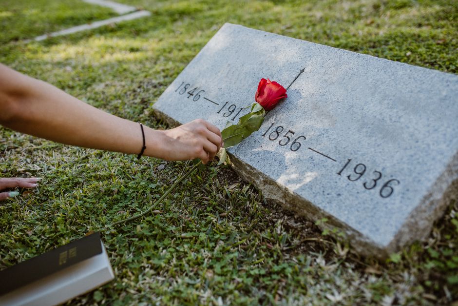 A person placing a single red rose with green stem and leaves on a gray granite memorial plaque engraved with the years 1846–1916 and 1856–1936, at a cemetery. The individual, wearing a black brac